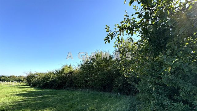 Działka budowlana Cerekwica, ul. Kwiatowa. Zdjęcie 3