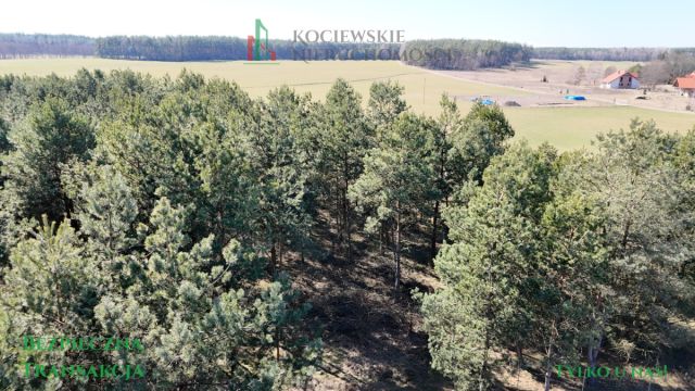 Działka budowlana Stara Kiszewa. Zdjęcie 7