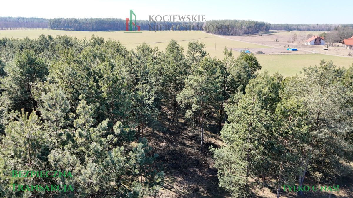 Działka budowlana Stara Kiszewa. Zdjęcie 7