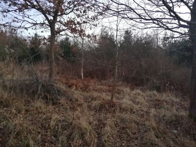Działka inna Lutcza. Zdjęcie 1