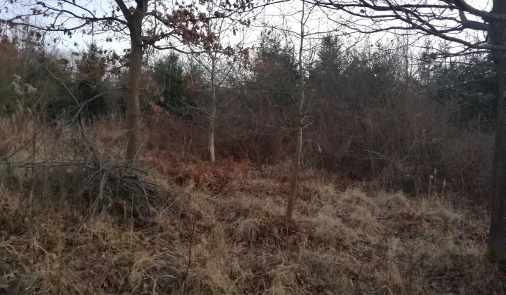 Działka inna Lutcza