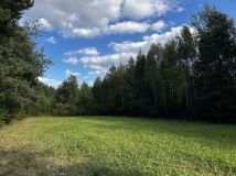 Działka rolno-budowlana Rydzów. Zdjęcie 1