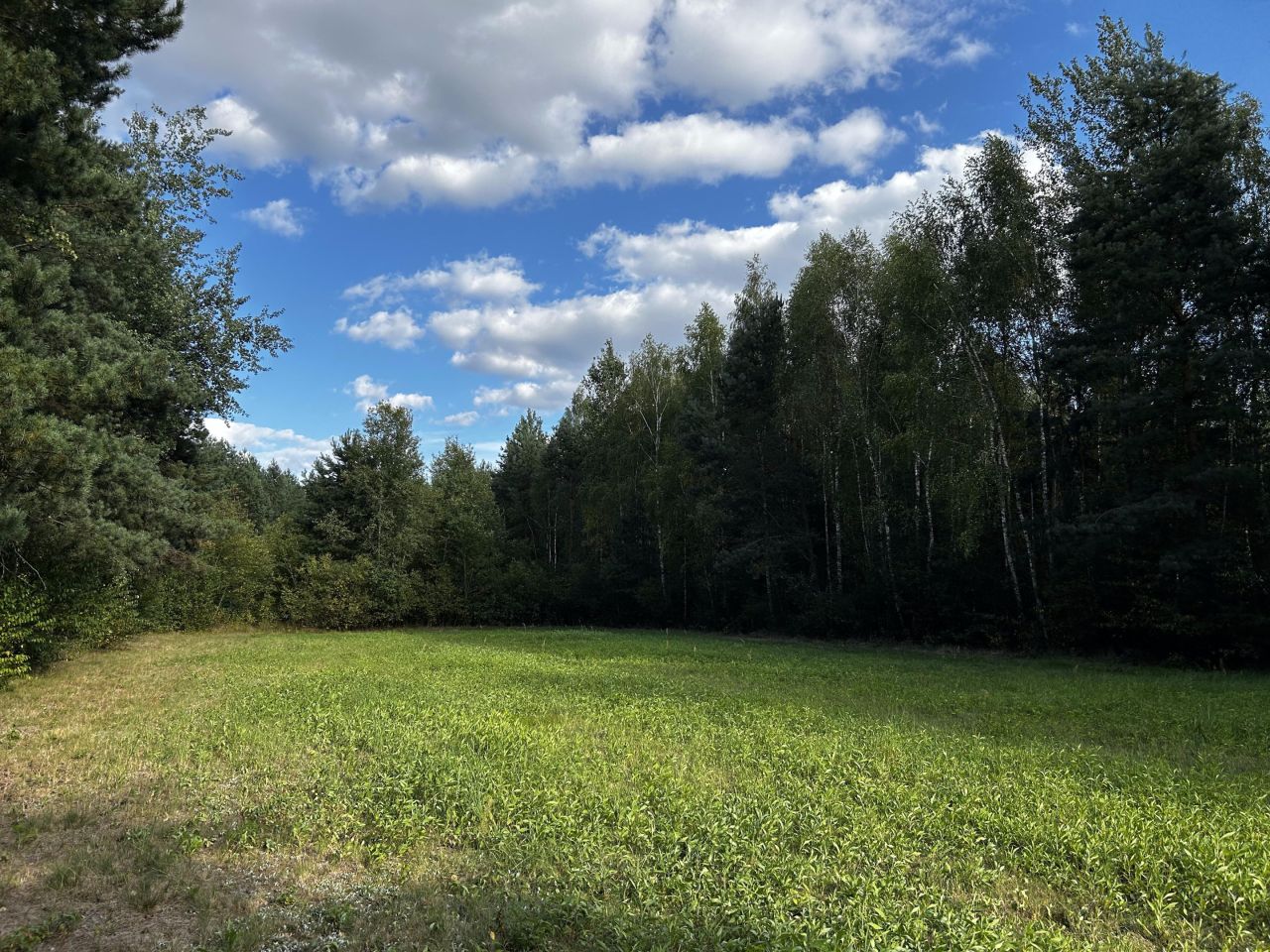 Działka rolno-budowlana Rydzów. Zdjęcie 2