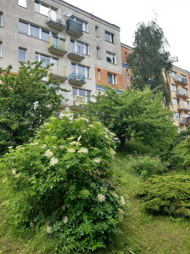 Mieszkanie 3-pokojowe Olsztyn Nagórki, ul. Franciszka Barcza. Zdjęcie 6