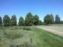 Działka rolna Goszczyce Średnie. Zdjęcie 1