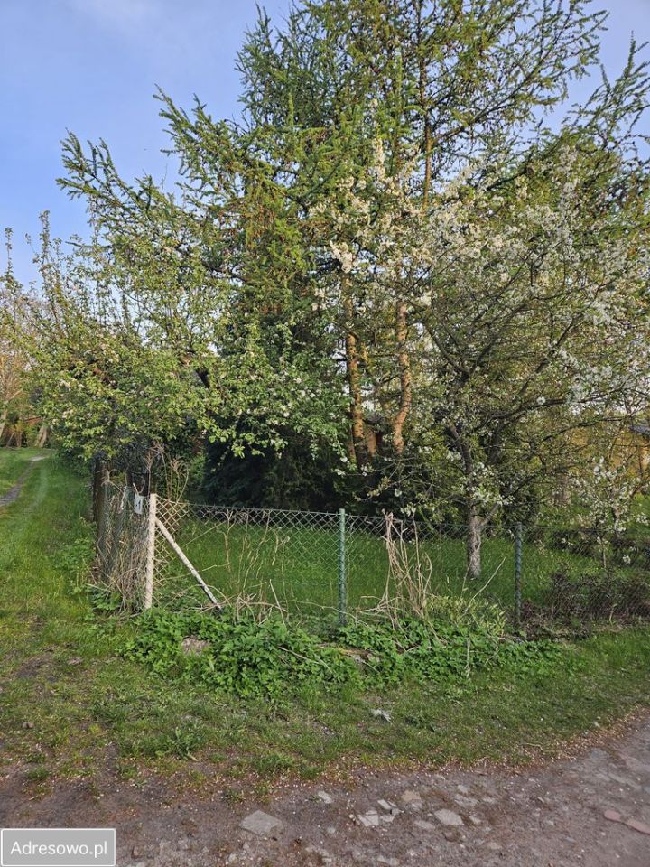 Działka rod Gdańsk Jasień, ul. Stolema. Zdjęcie 5