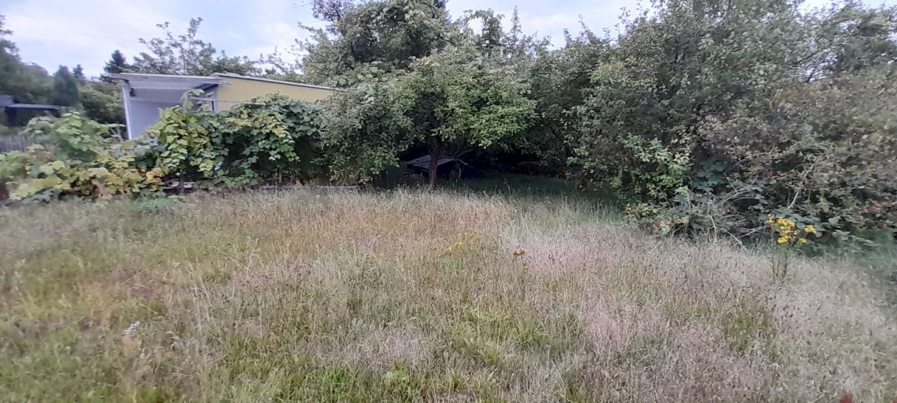 Działka rod Zielona Góra Ochla, ul. Ochla-Kożuchowska. Zdjęcie 15