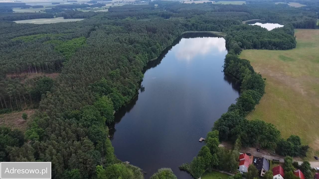 Działka budowlana Kuźnica Głogowska Głuchów. Zdjęcie 2