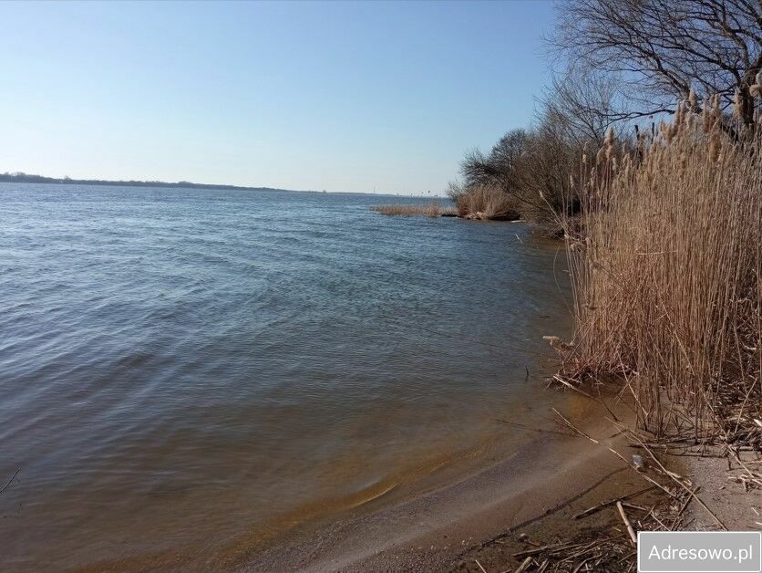 Działka siedliskowa Bachorzewo. Zdjęcie 6