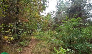 Działka budowlana Zalesie