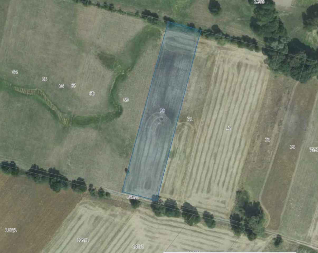 Działka Ruda. Zdjęcie 3