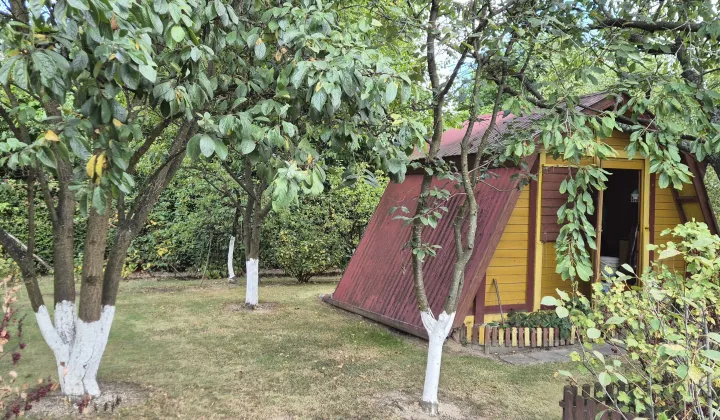 Działka rod Elizówka