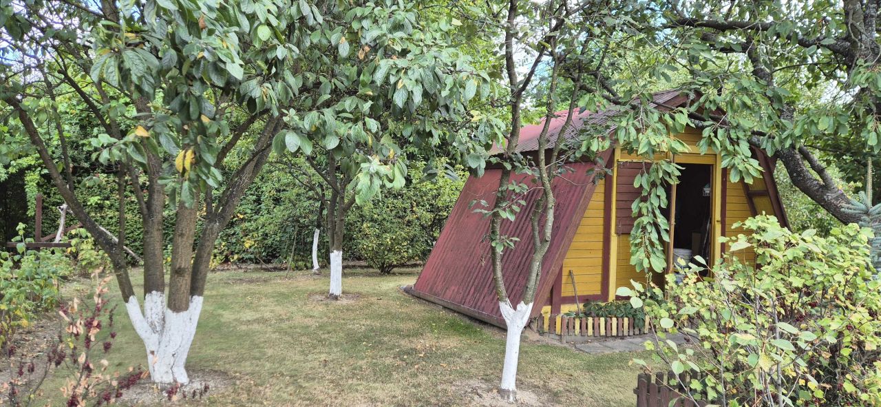 Działka rod Elizówka