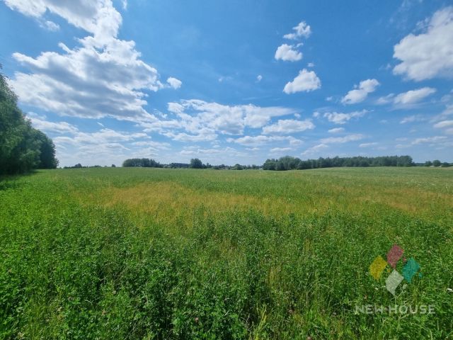 Działka Pajtuny. Zdjęcie 9