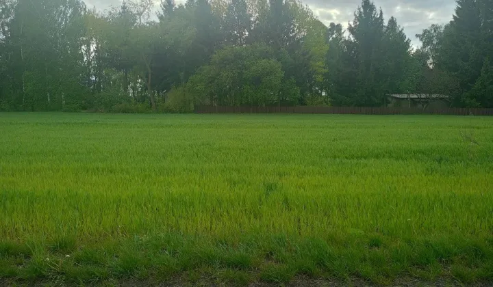 Działka budowlana Czuryły