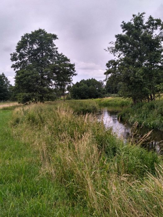 Działka rekreacyjna Bartoszylas. Zdjęcie 2