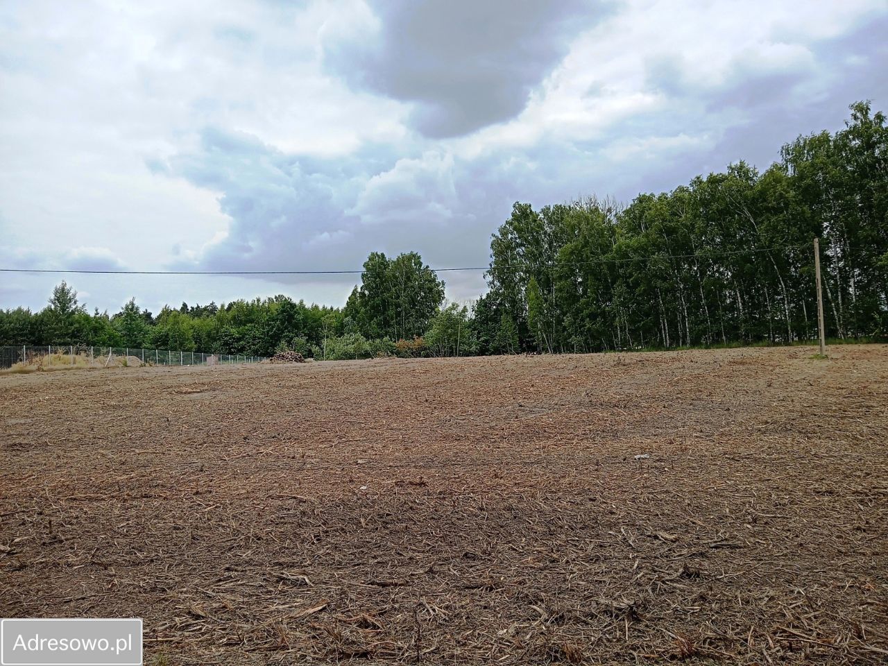 Działka rolna Płock Budy Dolne, ul. Jordanowska. Zdjęcie 11