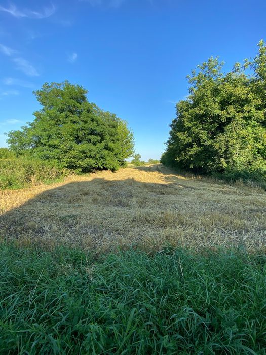 Działka rolno-budowlana Słomniki