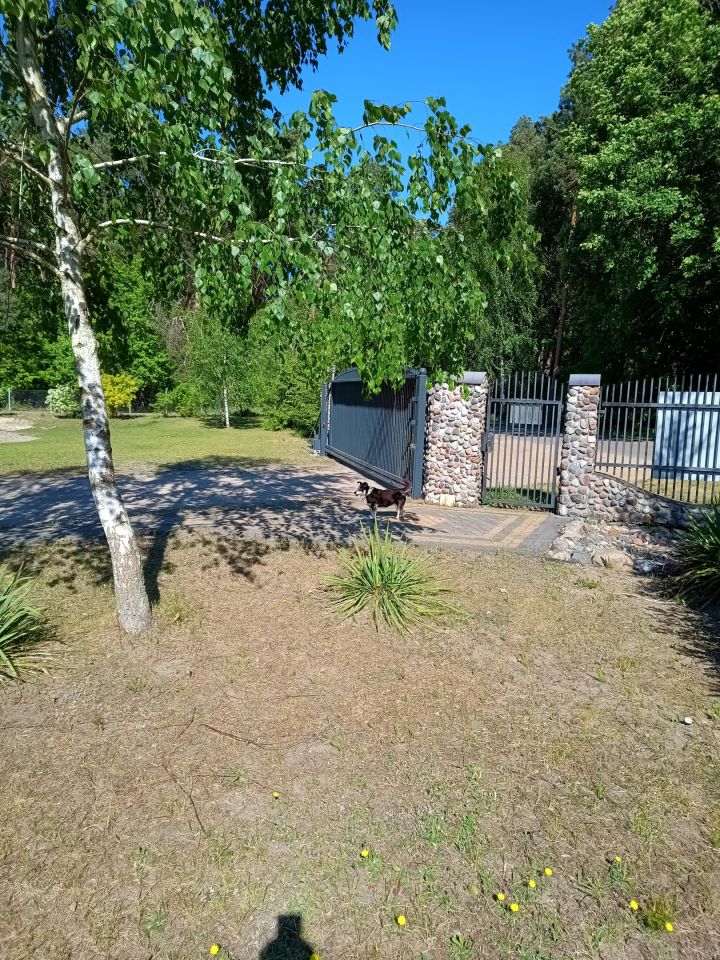 dom wolnostojący, 5 pokoi Rzeczyca, ul. Dębowa. Zdjęcie 10