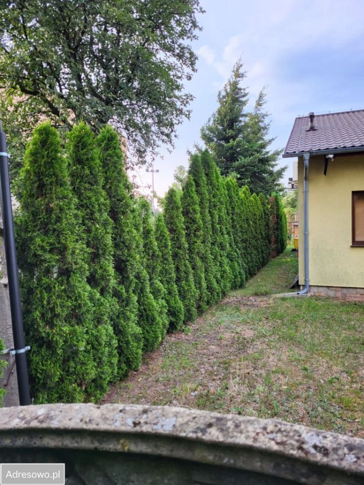 Lokal Smolno Wielkie. Zdjęcie 7