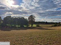 Działka budowlana Jabłowo Pałuckie. Zdjęcie 1