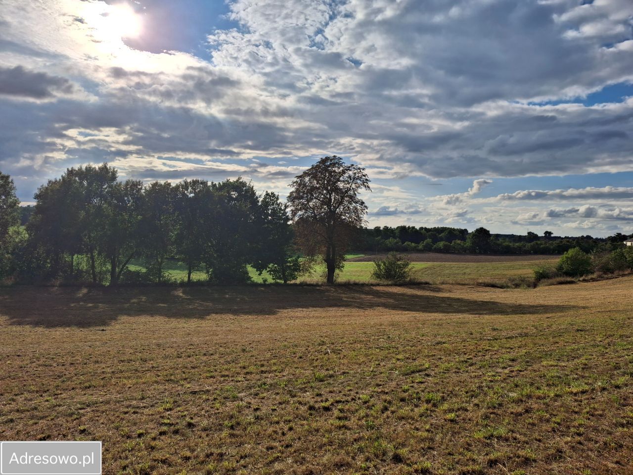 Działka budowlana Jabłowo Pałuckie. Zdjęcie 2