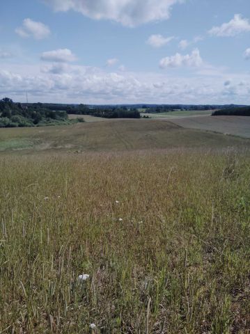 Działka rolna Jeziorany-Kolonie. Zdjęcie 1