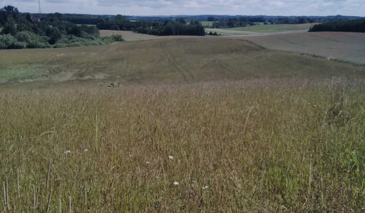 Działka rolna Jeziorany-Kolonie