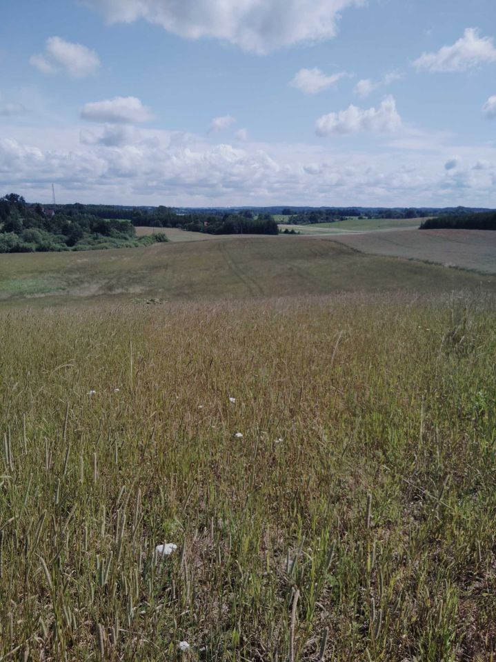 Działka rolna Jeziorany-Kolonie