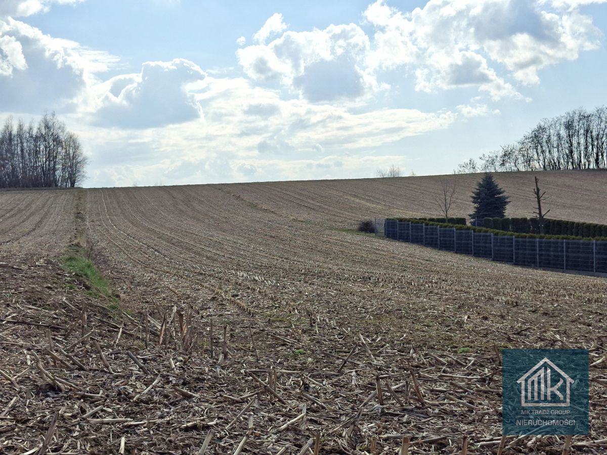 Działka budowlana Bodzanów. Zdjęcie 5
