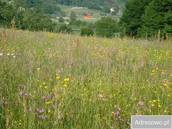 Działka rolna Nozdrzec. Zdjęcie 3