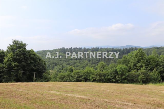 Działka Pasierbiec. Zdjęcie 9