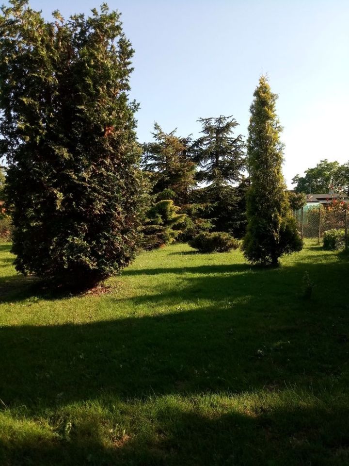 Działka rod Szczecin Centrum. Zdjęcie 4