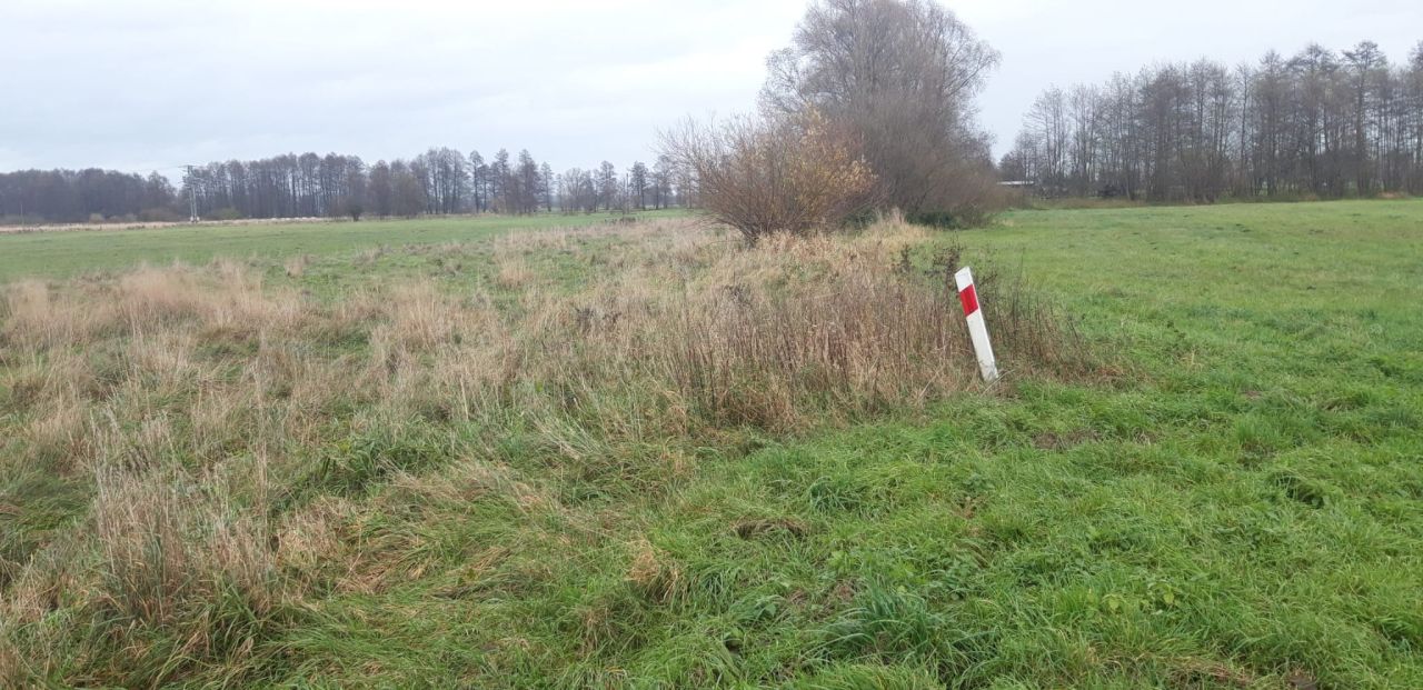 Działka budowlana Łącznica. Zdjęcie 10