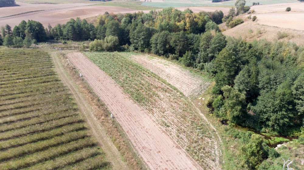 Działka budowlana Miesiączkowo. Zdjęcie 8