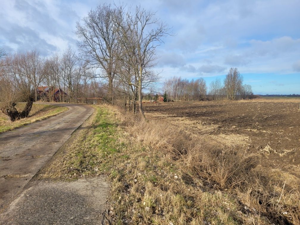 Działka rekreacyjna Chorążówka. Zdjęcie 7