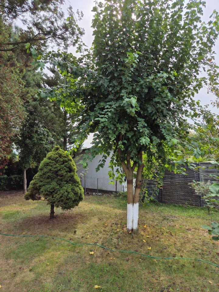 Działka rod Warszawa Paluch. Zdjęcie 3