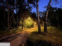 Mieszkanie 3-pokojowe Łódź Widzew, ul. Piotra Czajkowskiego. Zdjęcie 1