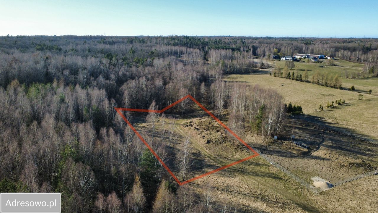 Działka budowlana Salino. Zdjęcie 1