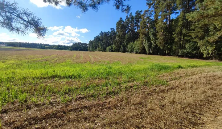 Działka budowlana Lubichowo, ul. Wybudowanie