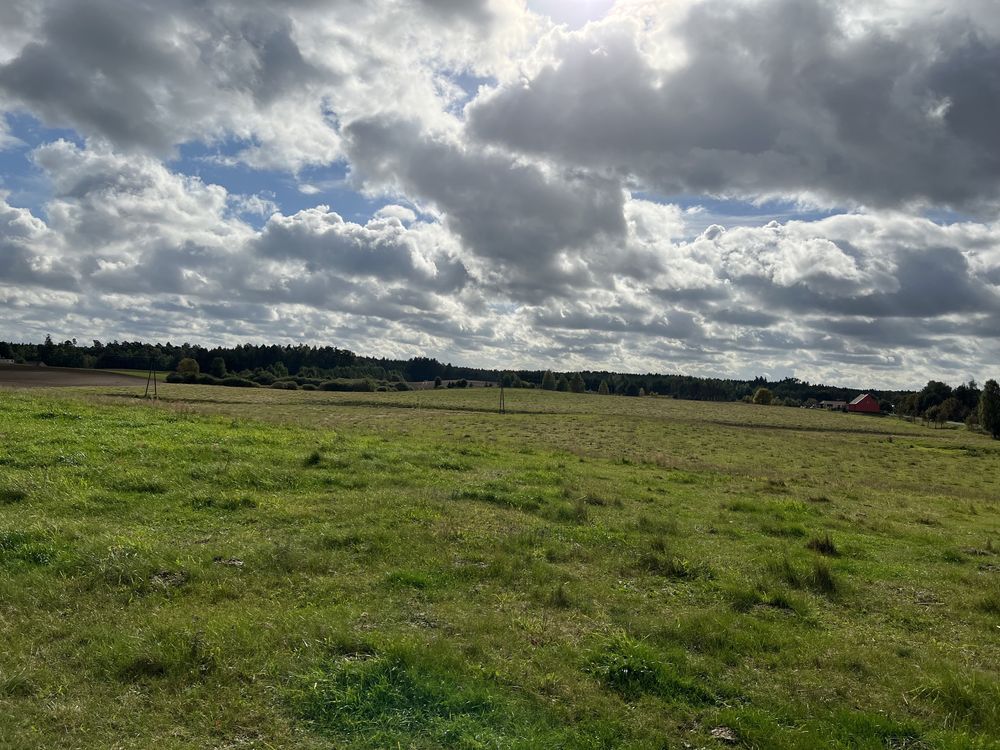 Działka rolno-budowlana Odry. Zdjęcie 7