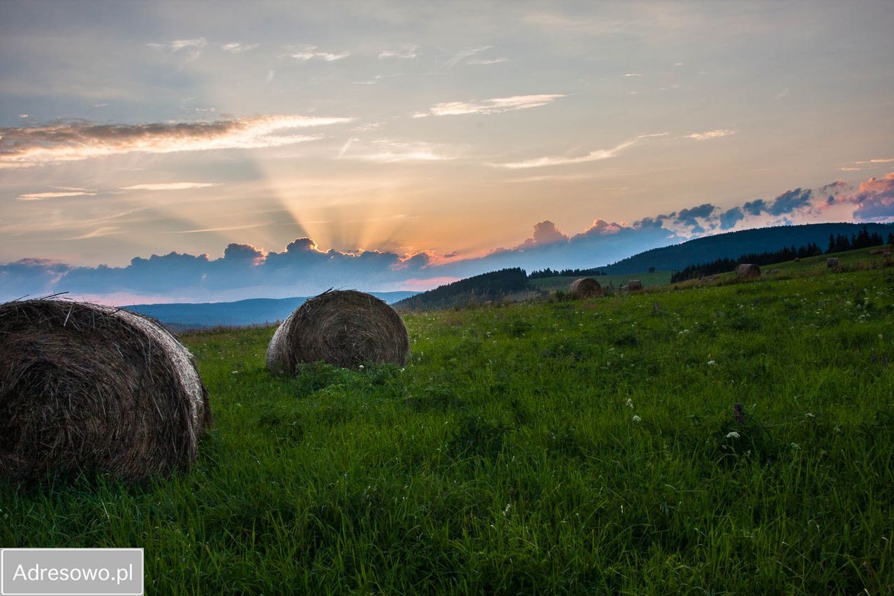 dom wolnostojący, 2 pokoje Gniewoszów. Zdjęcie 5