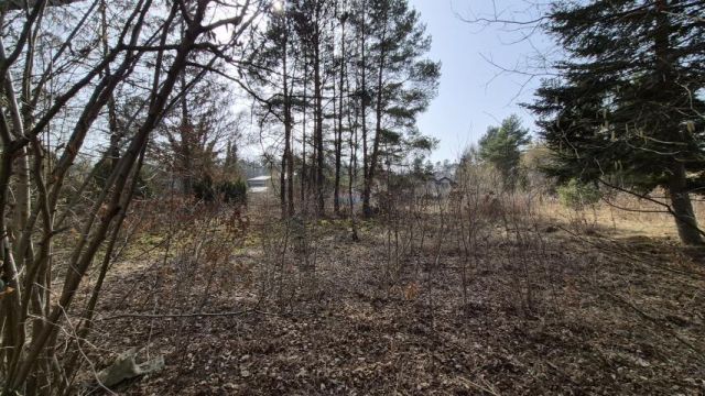 Działka budowlana Pilawa. Zdjęcie 5