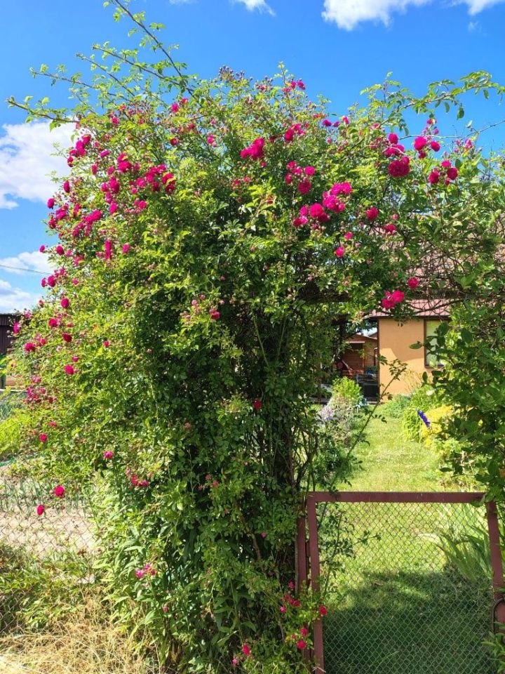 Działka rod Suwałki. Zdjęcie 5