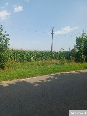 Działka rolno-budowlana Czarnolas Czarnolas-Kolonia. Zdjęcie 1