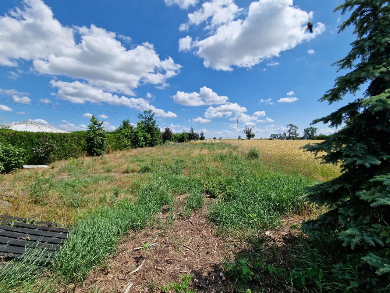 Działka budowlana Dolne Pole. Zdjęcie 4