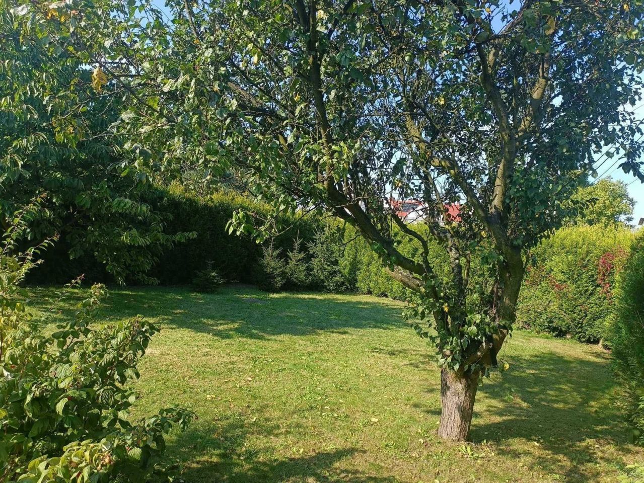 Działka budowlana Tychy Glinka, ul. Jagodowa. Zdjęcie 7