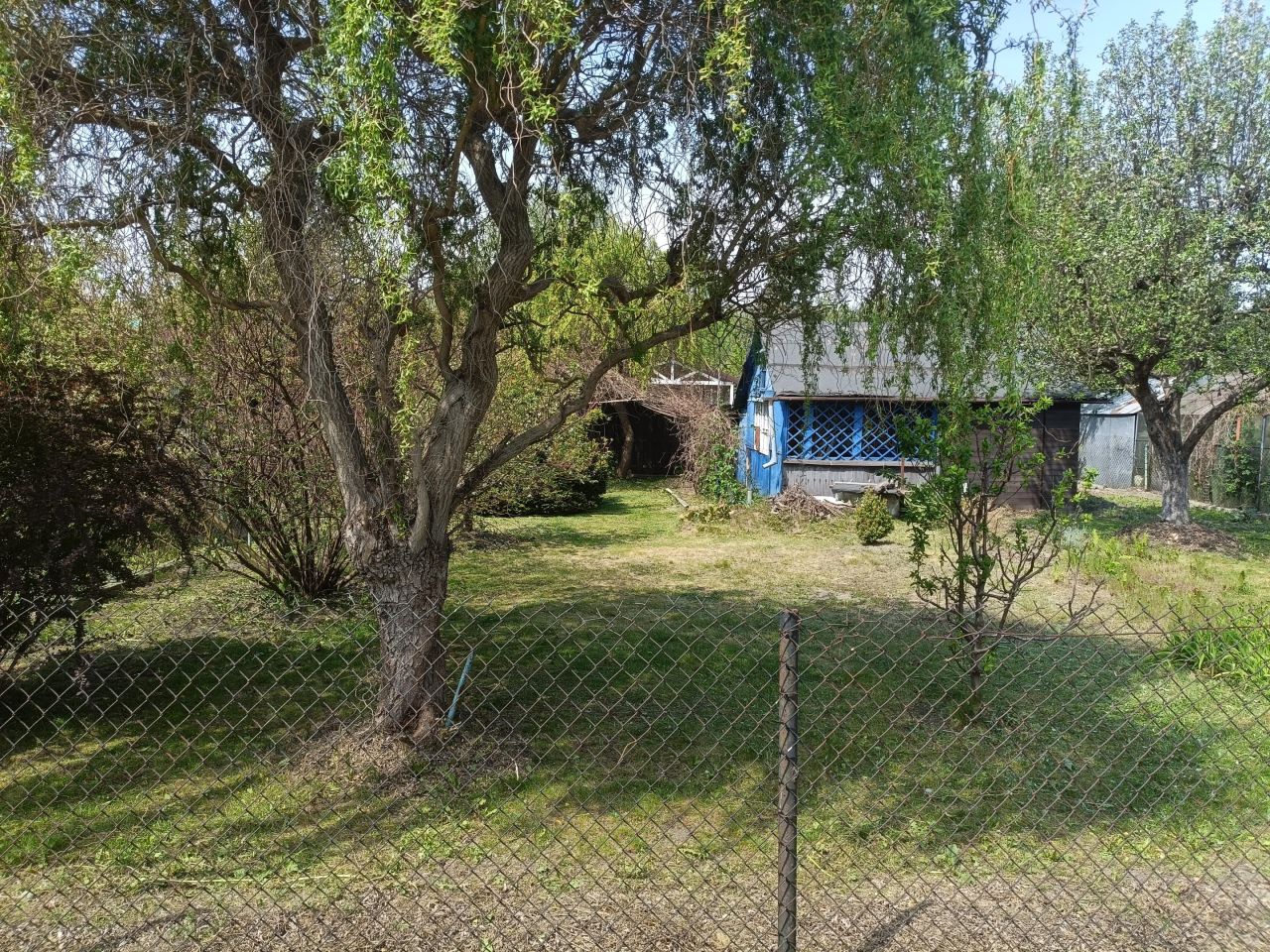 Działka rod Warszawa Paluch, ul. Ogrodników. Zdjęcie 3