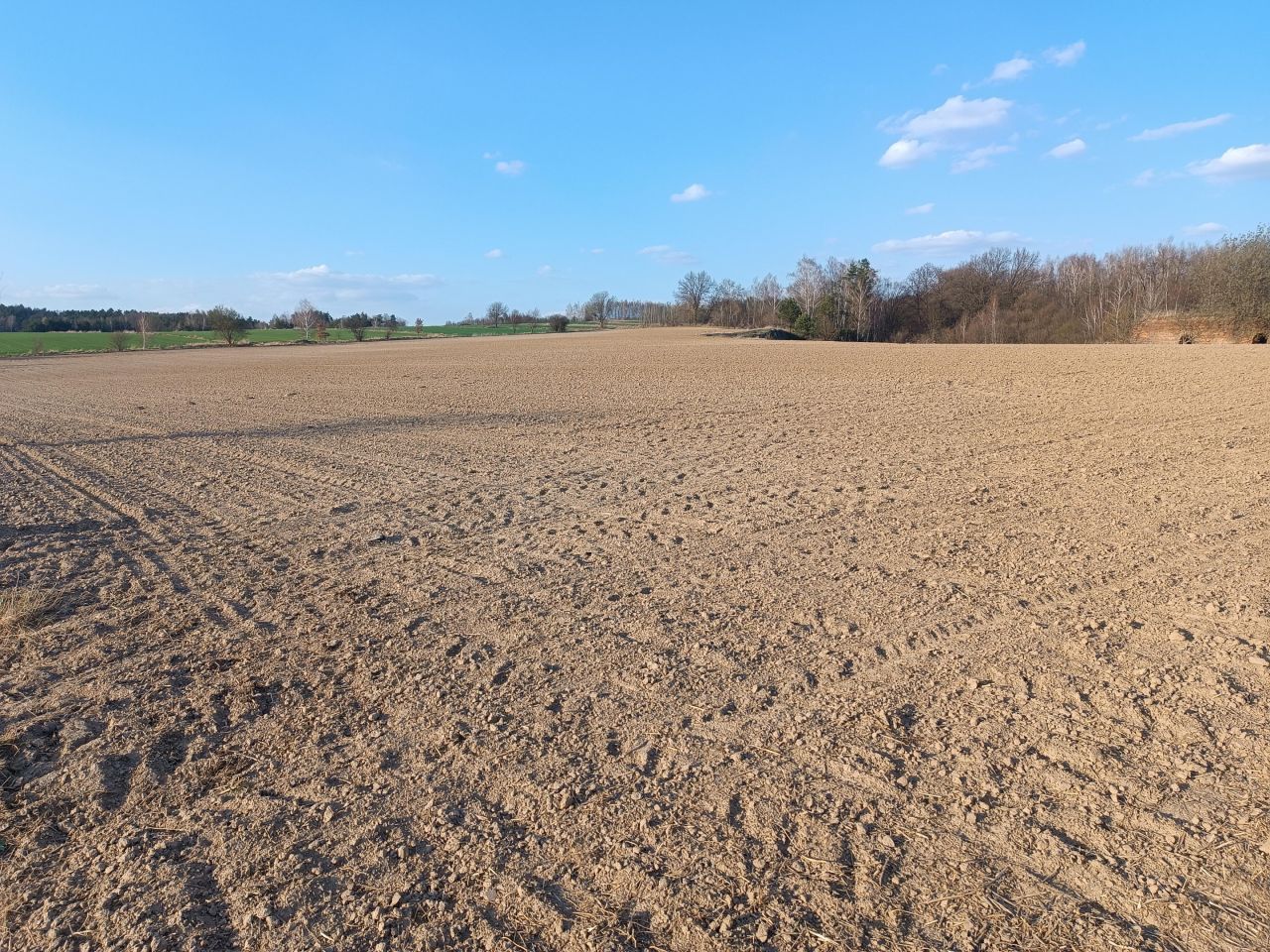 Działka rolna Niemienice. Zdjęcie 4