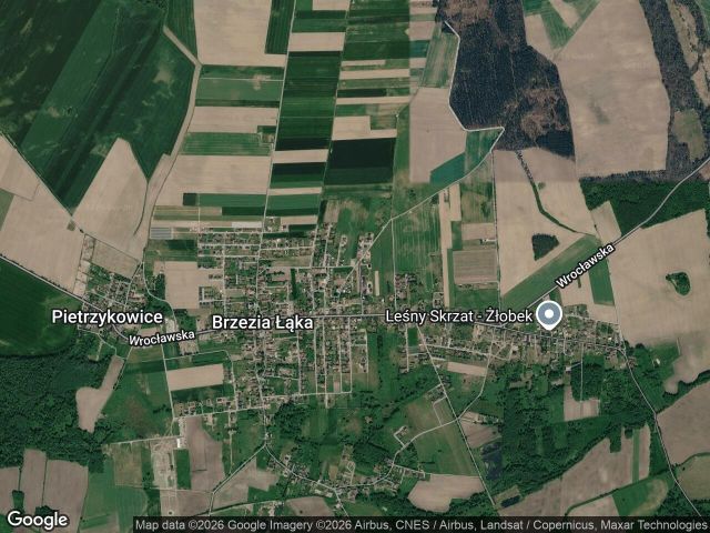 Działka budowlana Brzezia Łąka, ul. Kasztanowa. Zdjęcie 1